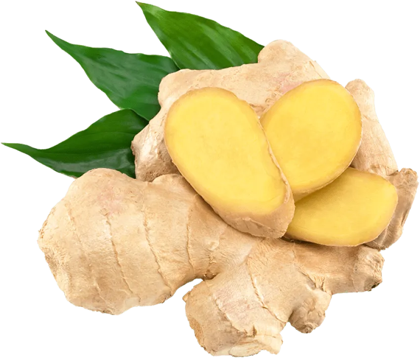 Ginger