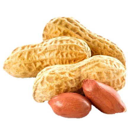 Groundnuts
