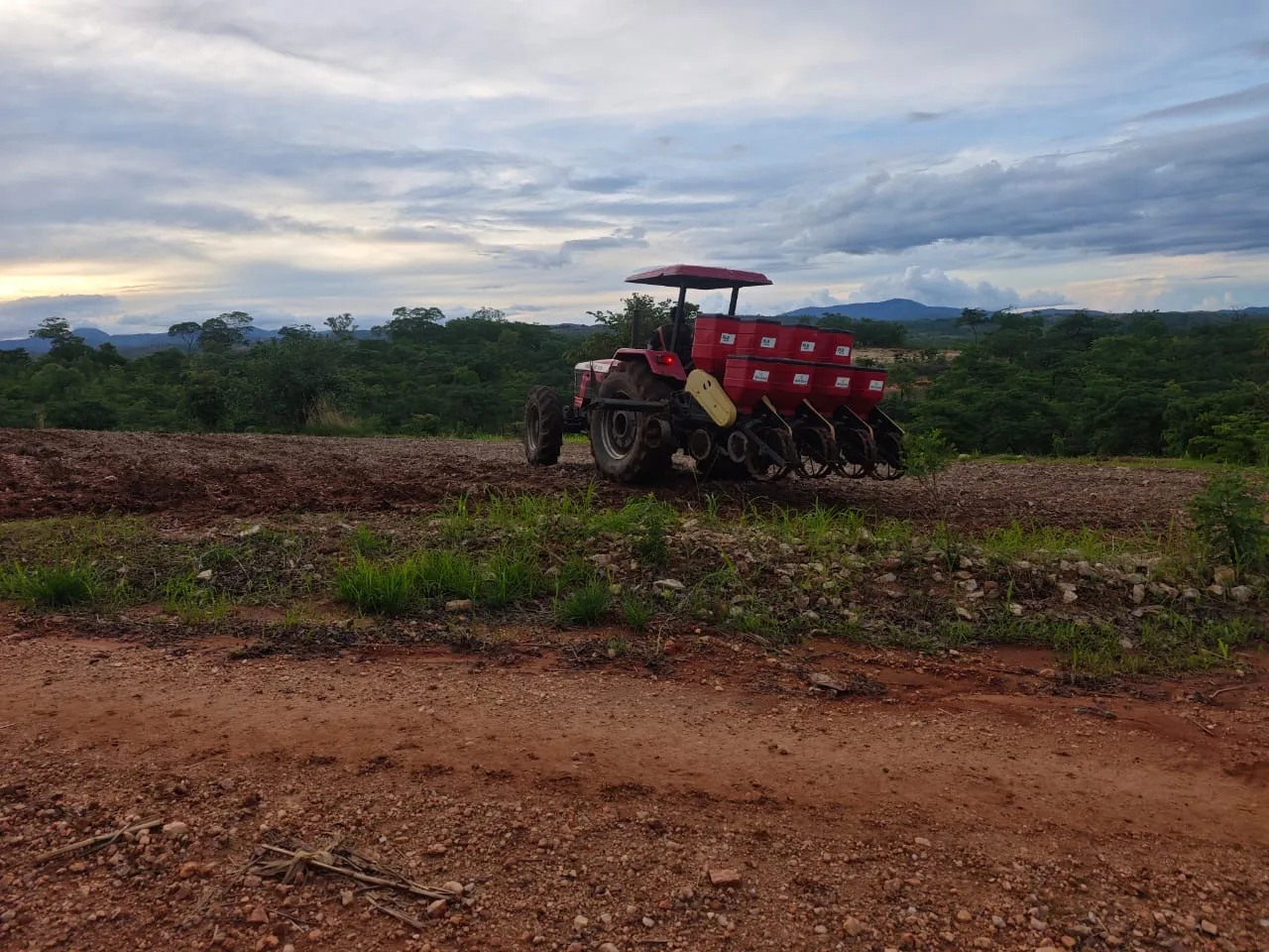 Tractor planting at Majestic Farms