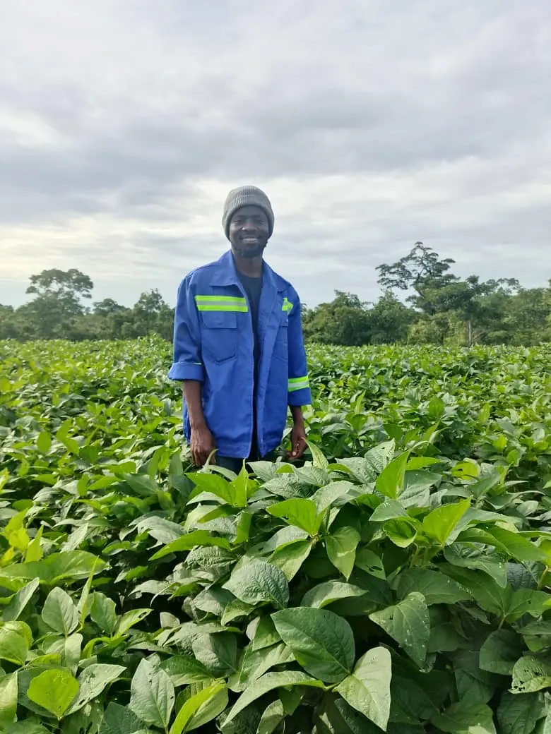 Farm worker in a soybean field